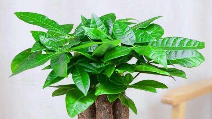 現(xiàn)代辦公室裝修，需要滿足哪些點？